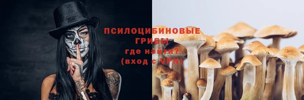 дмт Сатка