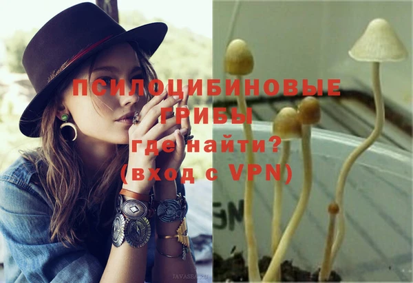 ALPHA PVP Алексеевка