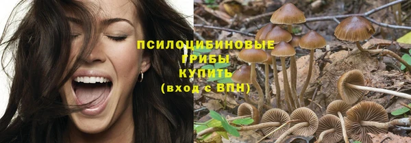 круглые Алзамай