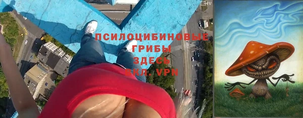круглые Алзамай