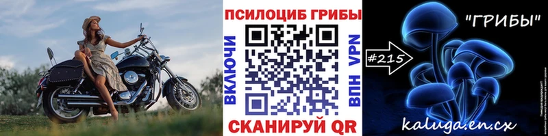 Галлюциногенные грибы мицелий  магазин  наркотиков  Заполярный 